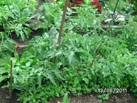 BILD0003.webp