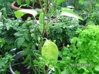 BILD0004.webp