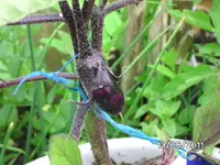 BILD0005.webp