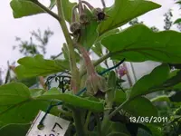 BILD0010.webp