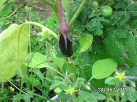 BILD0011.webp