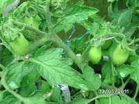 BILD0015.webp