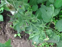 BILD0016.webp