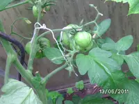 BILD0017.webp