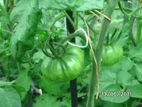 BILD0021.webp