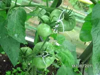 BILD0022.webp