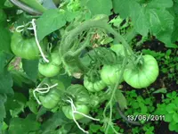 BILD0024.webp