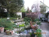 DSCN0034.webp