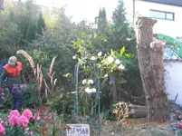 DSCN0259.webp
