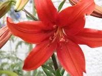 DSCF0530.webp
