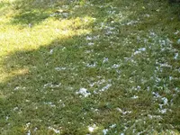k-IMG_8323.webp