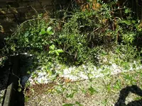 k-IMG_8326.webp