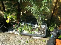 k-IMG_8327.webp