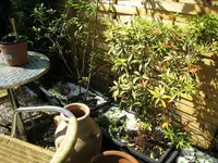 k-IMG_8328.webp