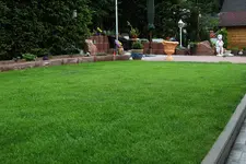 ew-IMG_2691.webp