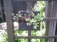 Satteltasche.webp