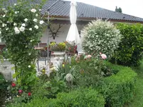 btw 11.06.2011 031 - 1.webp
