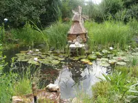 btw 11.06.2011 036.webp