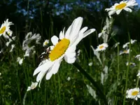 P1070553_2.webp