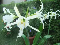 DSCF3152.webp