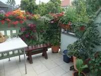 DSCF3144.webp
