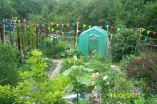 100_2872.webp
