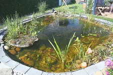 großer Teich von unten_kleiner.webp