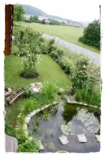 Teich (8).webp