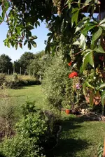 Blick in den Garten.webp