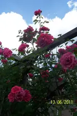 100_2857.webp