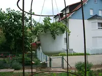 DSCF5533.webp