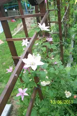100_2865.webp