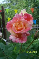 100_2869.webp
