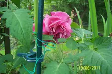 100_2873.webp