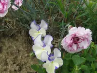 IMG_3504_1067x800.webp