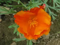 IMG_3502_1067x800.webp