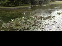07062011235.webp