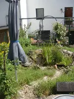Teichgesamt1DSC03347.webp