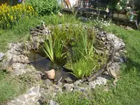 Teichgesamtoben1DSC03342.webp