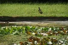DSC05454.webp