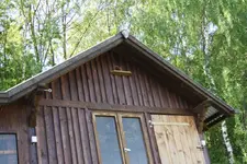 Turmfalkenwohnung.webp