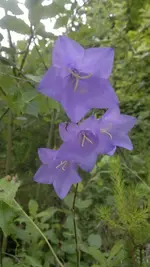 12062011205.webp
