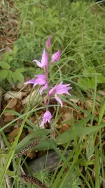 12062011207.webp