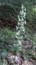 12062011208.webp