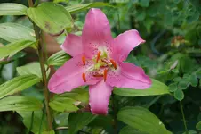 DSC05469.webp