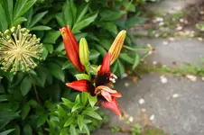 DSC05473.jpg