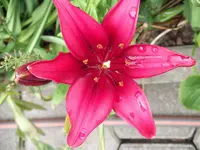 DSCF0555.webp