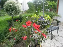 btw 11.06.2011 006.webp