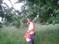 PIC01309.webp