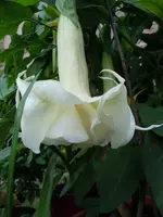 030.webp